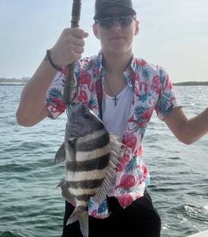 Sheepshead Fishing in Destin, Florida