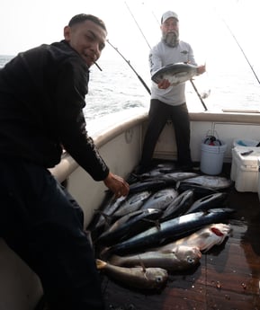 Blackfin Tuna, Tilefish, Wahoo fishing in Galveston, Texas