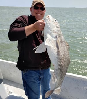 Black Drum fishing in Corpus Christi, Texas