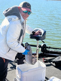 Blue Catfish Fishing in Austin, Texas