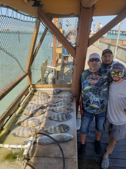 Sheepshead, Speckled Trout / Spotted Seatrout fishing in Port Isabel, Texas