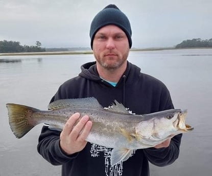 Speckled Trout / Spotted Seatrout fishing in Jacksonville, Florida