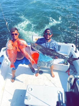 Cobia, Red Snapper fishing in Biloxi, Mississippi