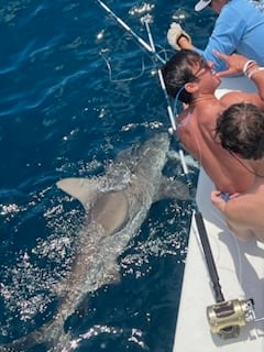 Blacktip Shark Fishing in Destin, Florida