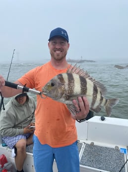 Sheepshead Fishing in Galveston, Texas