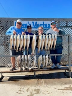 Black Drum, Redfish, Speckled Trout / Spotted Seatrout Fishing in Corpus Christi, Texas