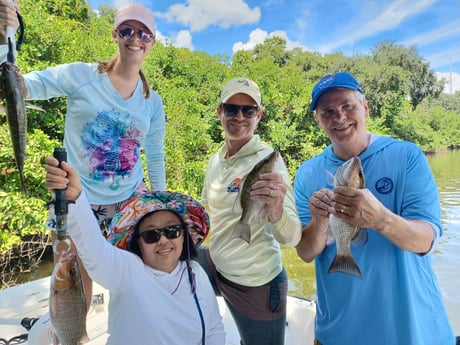 Mangrove Snapper fishing in St. Petersburg, Florida