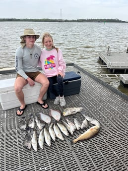 Black Drum, Redfish, Speckled Trout Fishing in Galveston, Texas