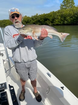 Redfish Fishing in Clearwater, Florida