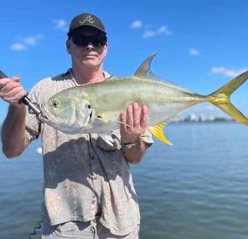 Jack Crevalle Fishing in Sarasota, Florida