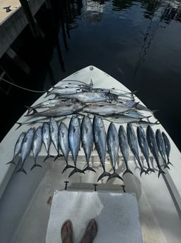 Fishing in Fort Lauderdale, Florida