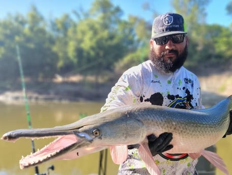 Alligator Gar Fishing in Dallas, Texas