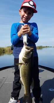 Largemouth Bass fishing in Fort Lauderdale, Florida