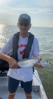 Tarpon fishing in Carolina, Carolina