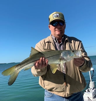 Snook Fishing in Key Largo, Florida