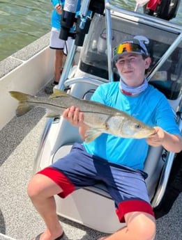 Snook fishing in Holmes Beach, Florida