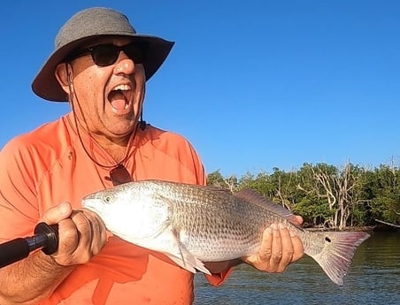 Redfish Fishing in Key Largo, Florida