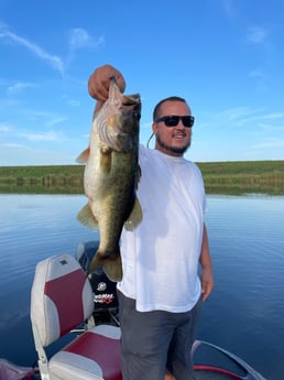 Largemouth Bass fishing in Fort Lauderdale, Florida