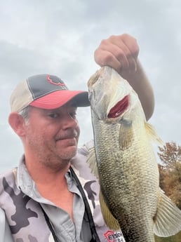 Largemouth Bass Fishing in Austin, Texas