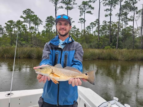 Fishing in Gulf Shores, Alabama