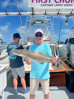 Cobia fishing in Islamorada, Florida