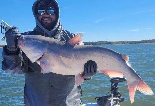 Blue Catfish Fishing in Dallas, Texas