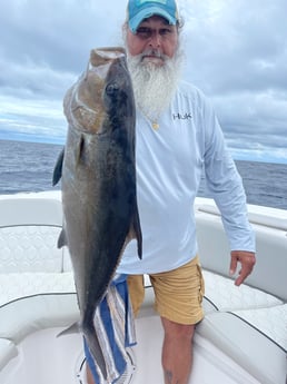 Amberjack fishing in St. Augustine, Florida