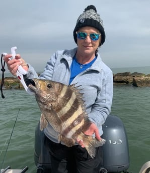 Sheepshead fishing in Galveston, Texas