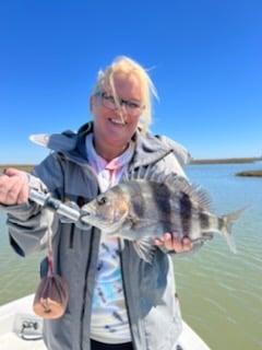 Sheepshead Fishing in Galveston, Texas