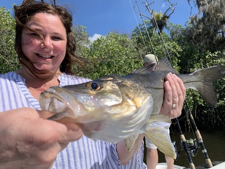 Snook Fishing in Jupiter, Florida