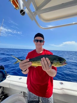 Albacore Tuna fishing in Fort Lauderdale, Florida