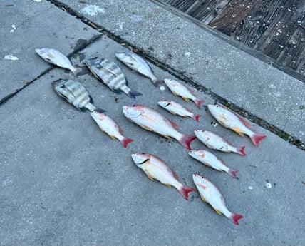 Fishing in Port Orange, Florida