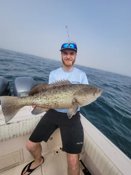 Gag Grouper fishing in Clearwater, Florida