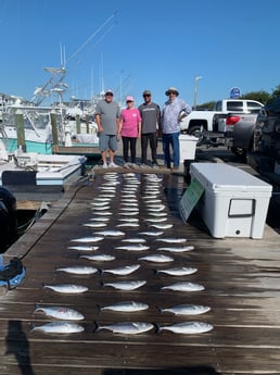 Bonito, Spanish Mackerel Fishing in Manteo, North Carolina