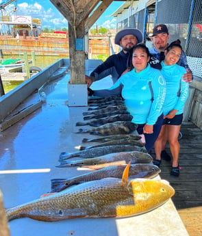 Black Drum, Redfish, Speckled Trout Fishing in Galveston, Texas