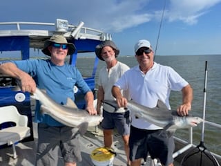 Blacktip Shark Fishing in New Orleans, Louisiana