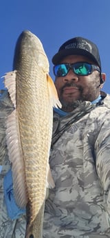 Redfish Fishing in Galveston, Texas