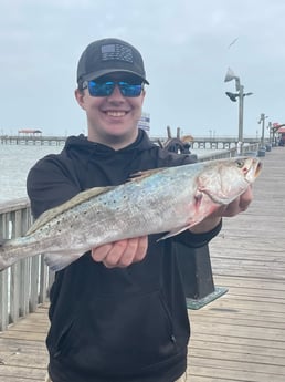 Redfish, Speckled Trout / Spotted Seatrout fishing in South Padre Island, Texas