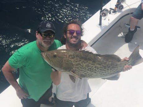 Gag Grouper fishing in Orange Beach, Alabama