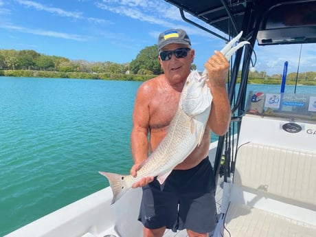 Snook fishing in Sarasota, Florida