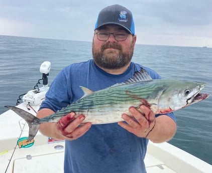 Bonito Fishing in Beaufort, North Carolina