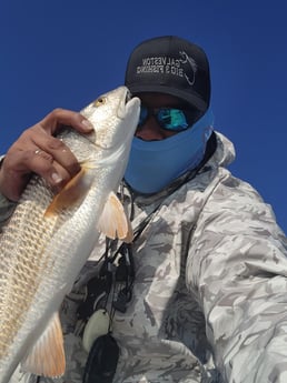 Redfish Fishing in Galveston, Texas