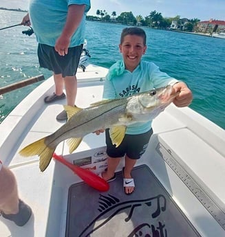 Snook fishing in Sarasota, Florida