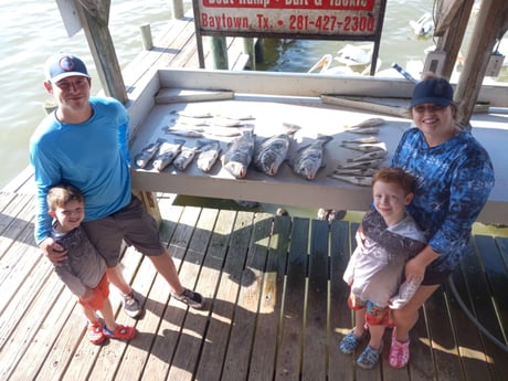 Black Drum, Speckled Trout / Spotted Seatrout Fishing in Houston, Texas