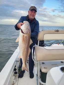 Redfish Fishing in Sulphur, Louisiana