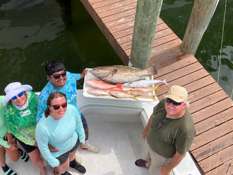 Black Drum, Red Snapper, Yellowtail Snapper fishing in Fort Lauderdale, Florida