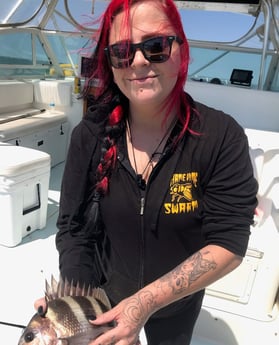 Sheepshead fishing in Galveston, Texas