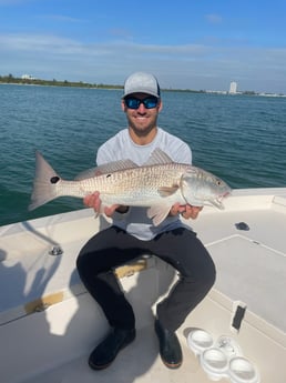 Redfish Fishing in Sarasota, Florida