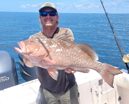 Red Grouper fishing in Clearwater, Florida