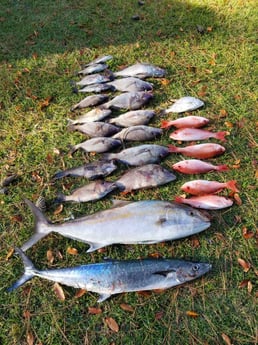 Amberjack, Grunt, King Eider, Vermillion Snapper Fishing in Wrightsville Beach, North Carolina